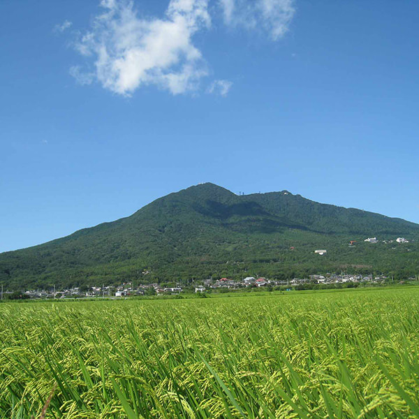 筑波山路面纜車 和空中纜車 筑波観光鉄道