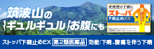 筑波山のギュルギュルお腹にも 突発性の下痢にストッパ 下痢止めEX