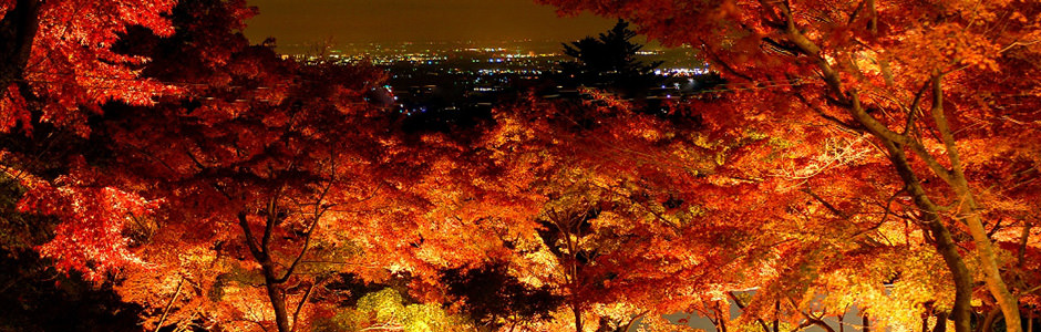 筑波山 ならでは の魅力満載 秋の筑波山 へ 一般社団法人つくば観光コンベンション協会
